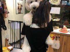 -小尾巴宠物店(万科·金域华庭店)