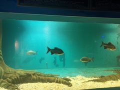 -秦皇岛新澳海底世界