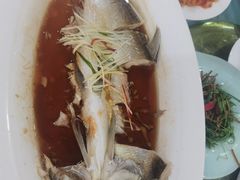 -九头鸟酒家(东高地店)