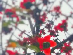 -东风公园