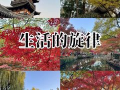 -秋霞圃