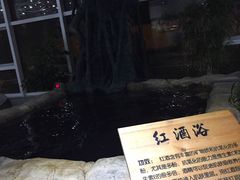 -盛彼得温泉度假酒店