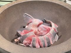 -鲜潭蒸汽石锅鱼(五道口购物中心店)