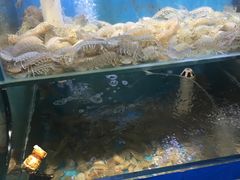 -船梆煮•蒸汽海鲜·生腌干蒸(五四广场店)