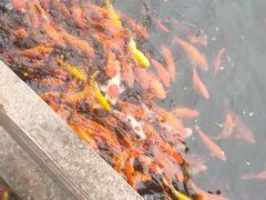 -西江印象酒楼