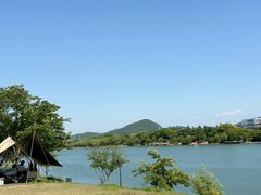 -羊山湖公园