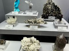 -湖南省地质博物馆