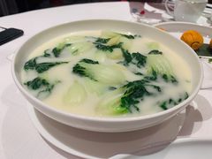 白菜仔-东富酒家(龙湖西溪天街店)