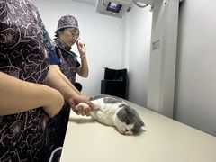 -思琪宠物医院(昆山花桥店)