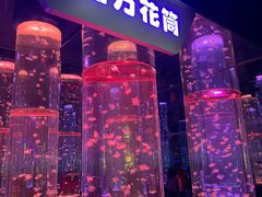 -海合安成都极地海洋公园