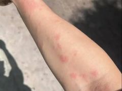 -和风景里酒店(护国寺店)