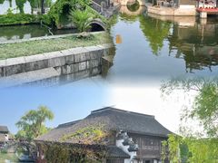 -鲁镇