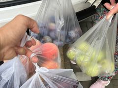 -示范集贸市场