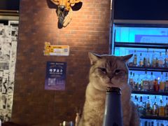 -故遥酒馆.赛事直播