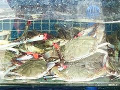 -常家活海鲜小吃(仅一家无分店)
