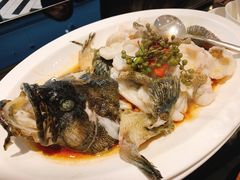 青花椒蒸龙胆鱼-闽和南(深圳万象城店)