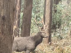 -上海怡沁园度假酒店