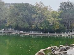 -莲湖公园