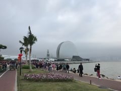 -野狸岛