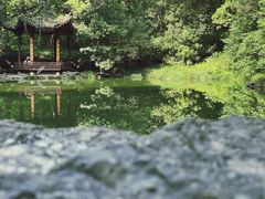 -杭州植物园