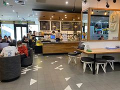-油梨树 AVOCADO TREE(亮马桥店)
