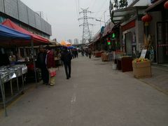 -中环花鸟鱼虫市场