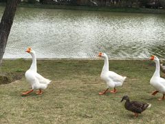 -东华大学(松江校区)
