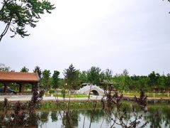 -张家湾公园
