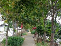 -八仙台服务区-停车场