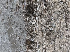 -胡氏古民居建筑