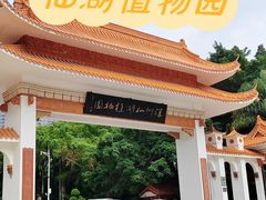 -深圳仙湖植物园