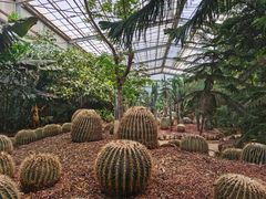 -呀路古热带植物园