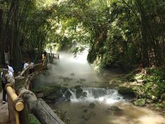 -川西竹海景区