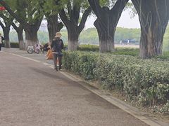 -沙澧河风景区