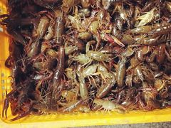 -蔡妹龙虾•肥鱼地标(陶珠路步行街店)