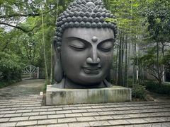 -杭州植物园
