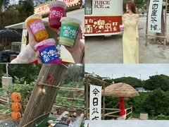 -南澳岛打卡果汁冰公司