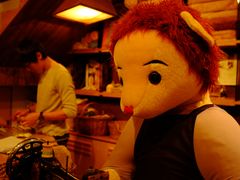 -济州岛泰迪熊博物馆