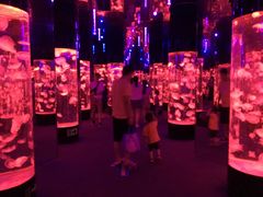 -成都浩海立方海洋公园