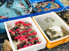 -霞涌市场海鲜摆卖区
