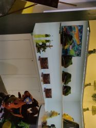 -恐龙探索乐园(磁器口店)