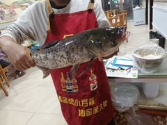 -山城家常菜铁锅炖鱼