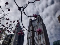 -陆家嘴中心绿地