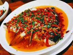 -金穗园·砂锅粥.醉鸡煲火锅(长寿路店)