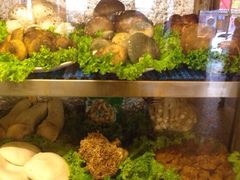 -易门野生菌府·菌海森林(月牙潭公园店)