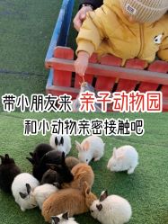 -萌宠亲子动物乐园(槐房万达店)