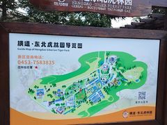 -横道河子东北虎林园