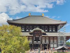 -奈良公园