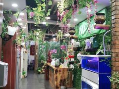 大堂-鹏馨羊羔肉·非遗(新建街店)