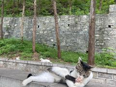 -四门塔风景区